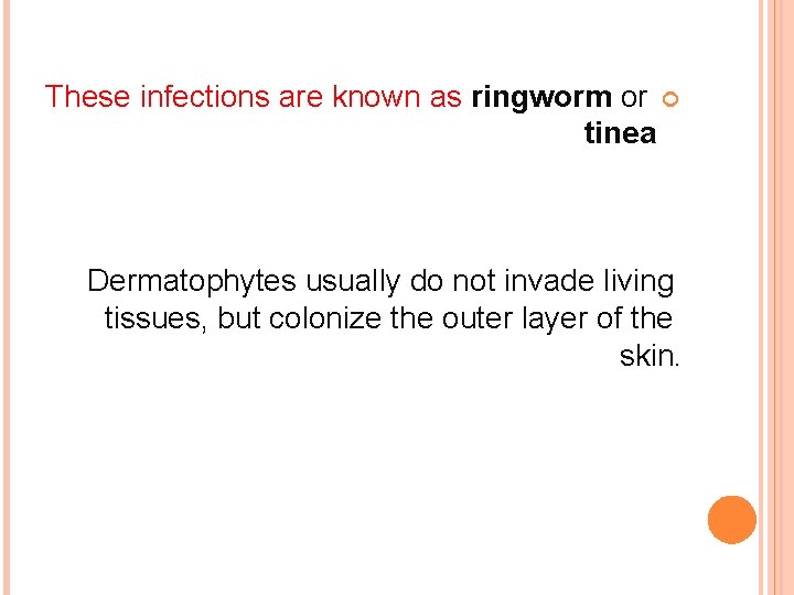 These infections are known as ringworm or tinea Dermatophytes usually do not invade living
