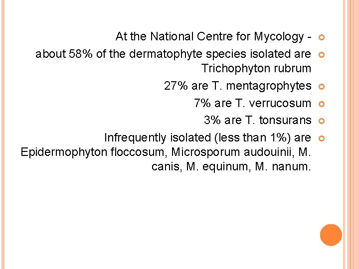 At the National Centre for Mycology about 58% of the dermatophyte species isolated are