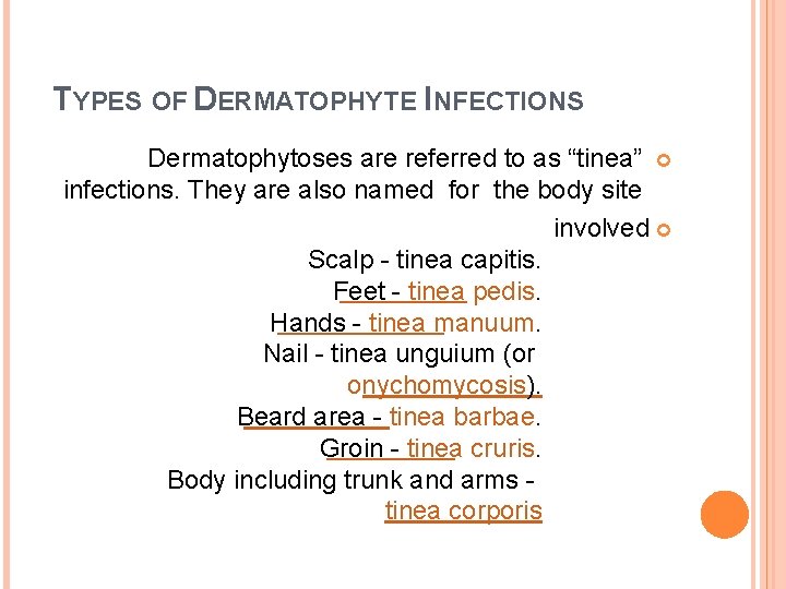 TYPES OF DERMATOPHYTE INFECTIONS Dermatophytoses are referred to as “tinea” infections. They are also