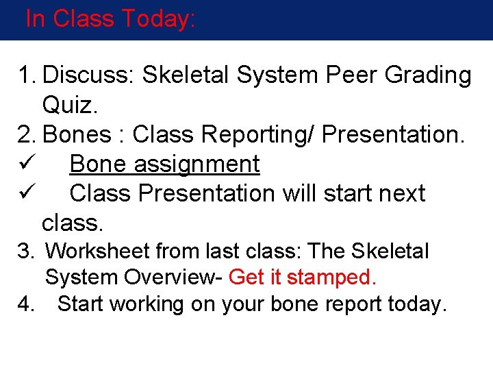 In Class Today: 1. Discuss: Skeletal System Peer Grading Quiz. 2. Bones : Class In Class Today: 1. Discuss: Skeletal System Peer Grading Quiz. 2. Bones : Class