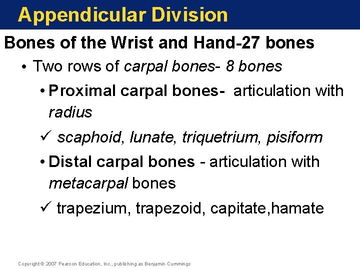 Appendicular Division Bones of the Wrist and Hand-27 bones • Two rows of carpal Appendicular Division Bones of the Wrist and Hand-27 bones • Two rows of carpal