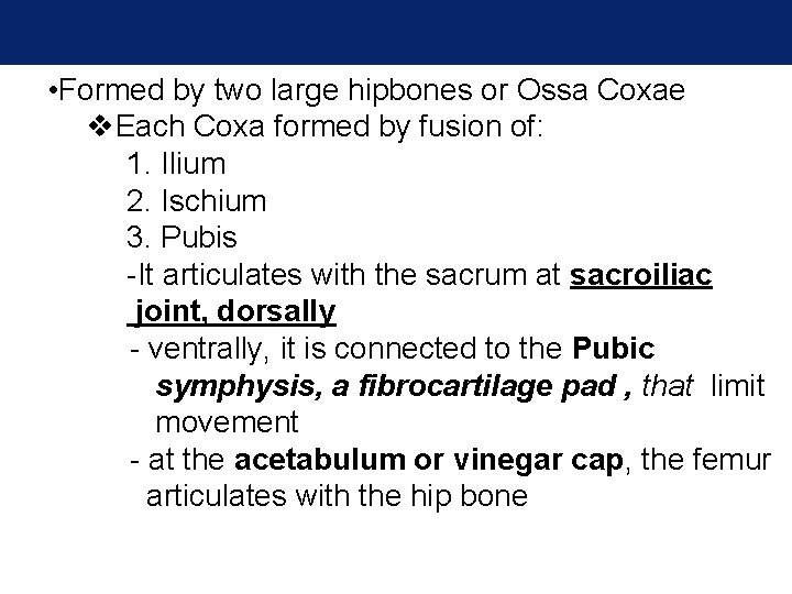 • Formed by two large hipbones or Ossa Coxae v. Each Coxa formed • Formed by two large hipbones or Ossa Coxae v. Each Coxa formed