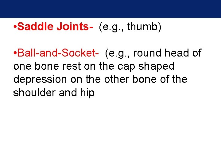 • Saddle Joints- (e. g. , thumb) • Ball-and-Socket- (e. g. , round • Saddle Joints- (e. g. , thumb) • Ball-and-Socket- (e. g. , round