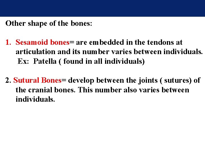 Other shape of the bones: 1. Sesamoid bones= are embedded in the tendons at Other shape of the bones: 1. Sesamoid bones= are embedded in the tendons at