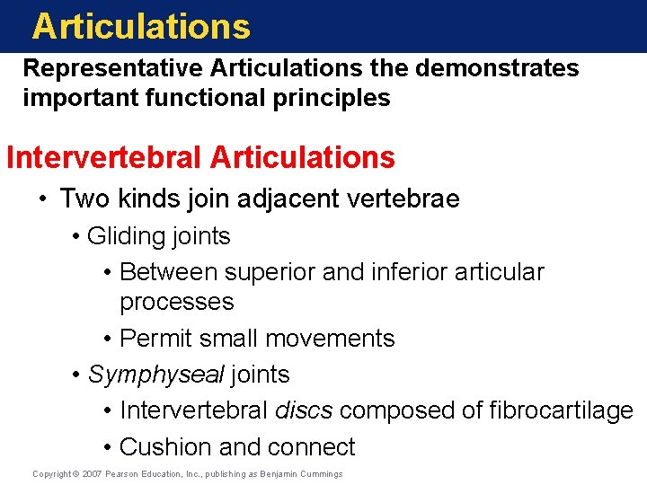 Articulations Representative Articulations the demonstrates important functional principles Intervertebral Articulations • Two kinds join Articulations Representative Articulations the demonstrates important functional principles Intervertebral Articulations • Two kinds join