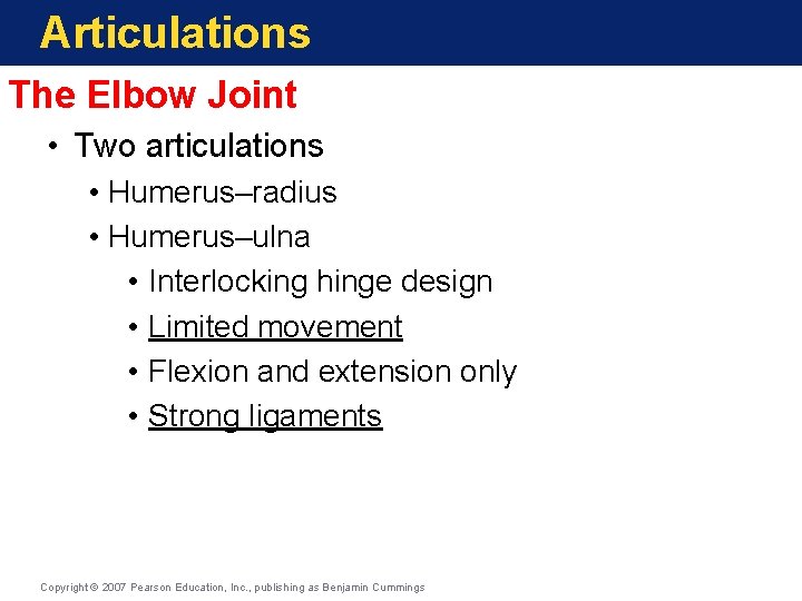 Articulations The Elbow Joint • Two articulations • Humerus–radius • Humerus–ulna • Interlocking hinge Articulations The Elbow Joint • Two articulations • Humerus–radius • Humerus–ulna • Interlocking hinge