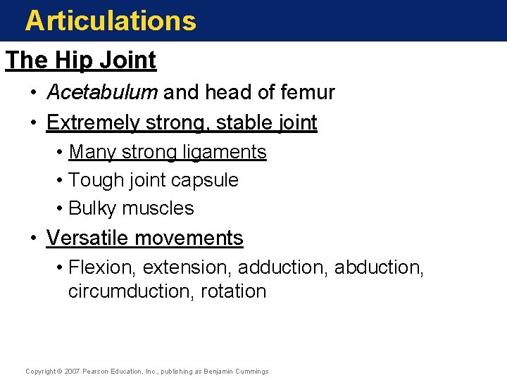 Articulations The Hip Joint • Acetabulum and head of femur • Extremely strong, stable Articulations The Hip Joint • Acetabulum and head of femur • Extremely strong, stable