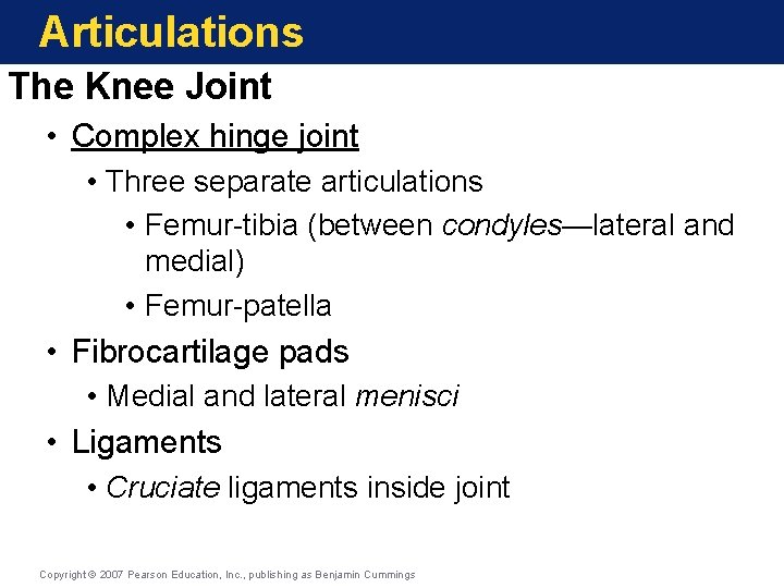 Articulations The Knee Joint • Complex hinge joint • Three separate articulations • Femur-tibia Articulations The Knee Joint • Complex hinge joint • Three separate articulations • Femur-tibia