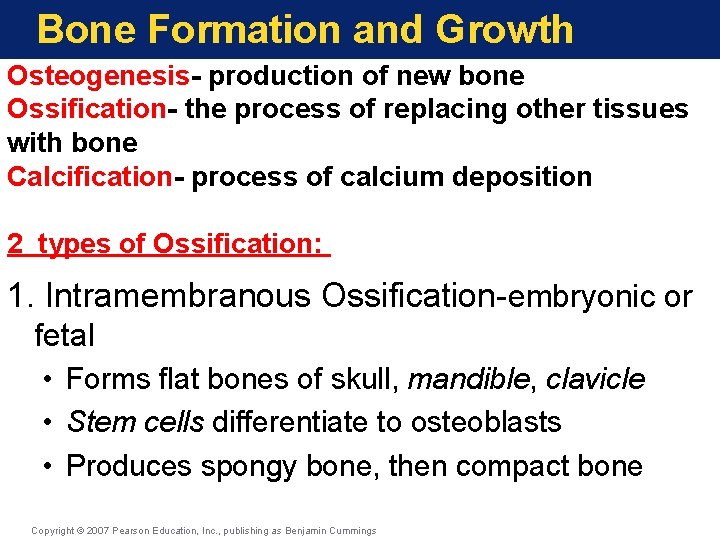 Bone Formation and Growth Osteogenesis- production of new bone Ossification- the process of replacing Bone Formation and Growth Osteogenesis- production of new bone Ossification- the process of replacing