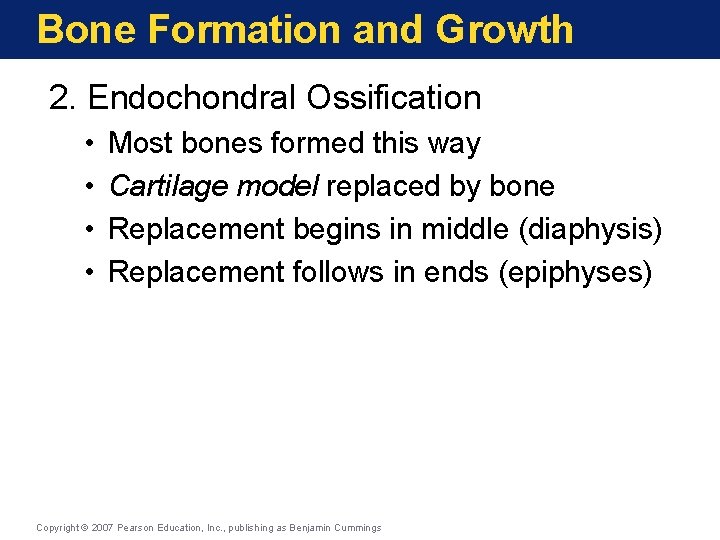 Bone Formation and Growth 2. Endochondral Ossification • • Most bones formed this way Bone Formation and Growth 2. Endochondral Ossification • • Most bones formed this way