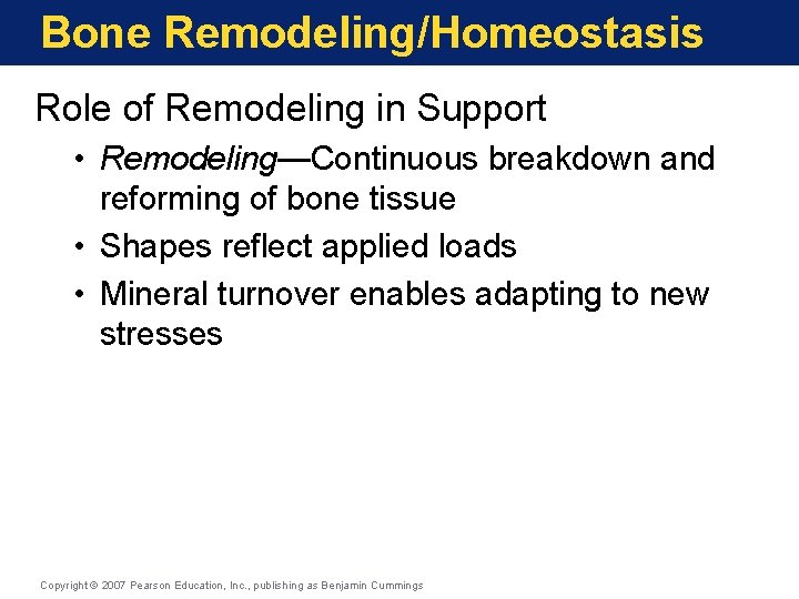 Bone Remodeling/Homeostasis Role of Remodeling in Support • Remodeling—Continuous breakdown and reforming of bone Bone Remodeling/Homeostasis Role of Remodeling in Support • Remodeling—Continuous breakdown and reforming of bone