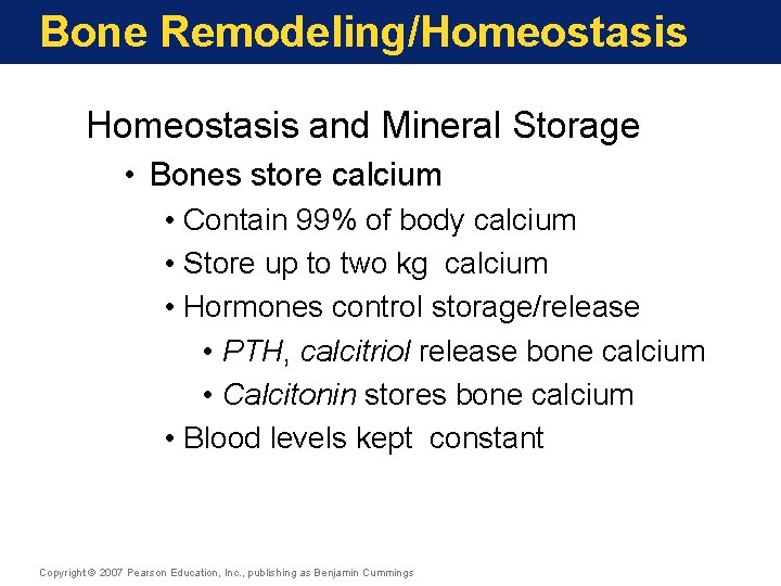 Bone Remodeling/Homeostasis and Mineral Storage • Bones store calcium • Contain 99% of body Bone Remodeling/Homeostasis and Mineral Storage • Bones store calcium • Contain 99% of body
