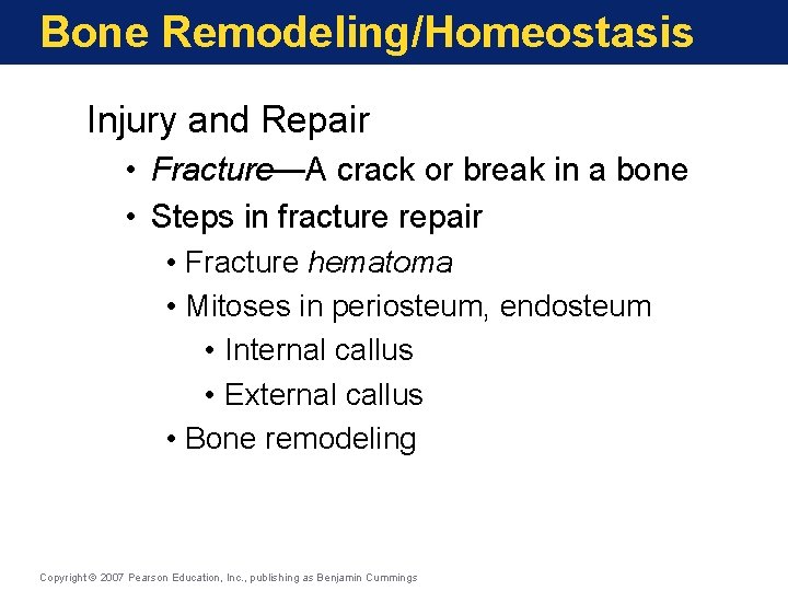 Bone Remodeling/Homeostasis Injury and Repair • Fracture—A crack or break in a bone • Bone Remodeling/Homeostasis Injury and Repair • Fracture—A crack or break in a bone •