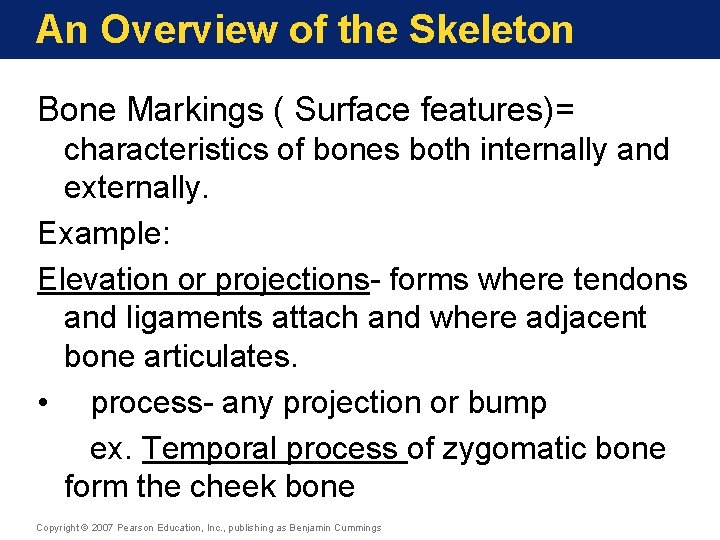 An Overview of the Skeleton Bone Markings ( Surface features)= characteristics of bones both An Overview of the Skeleton Bone Markings ( Surface features)= characteristics of bones both