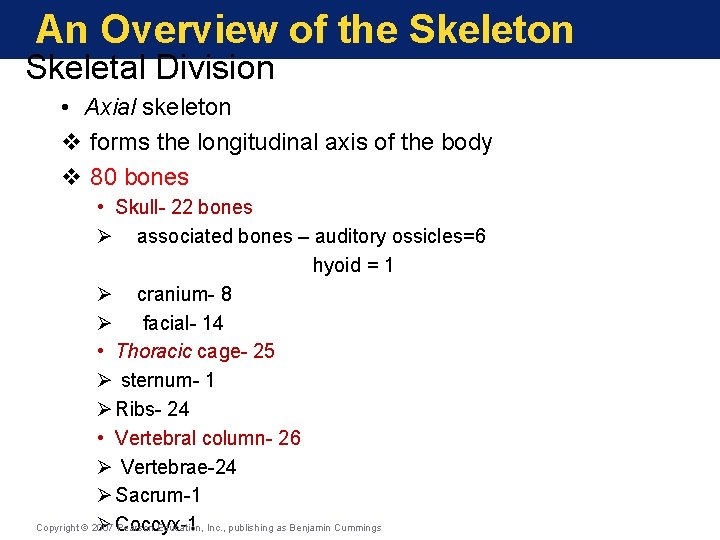 An Overview of the Skeleton Skeletal Division • Axial skeleton v forms the longitudinal An Overview of the Skeleton Skeletal Division • Axial skeleton v forms the longitudinal