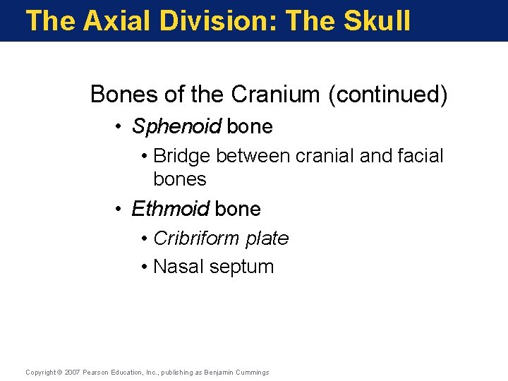 The Axial Division: The Skull Bones of the Cranium (continued) • Sphenoid bone • The Axial Division: The Skull Bones of the Cranium (continued) • Sphenoid bone •