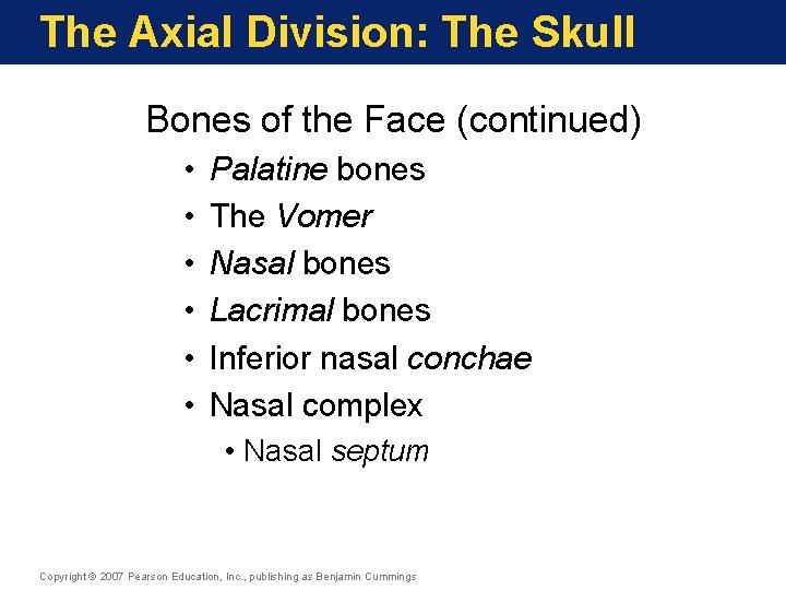 The Axial Division: The Skull Bones of the Face (continued) • • • Palatine The Axial Division: The Skull Bones of the Face (continued) • • • Palatine