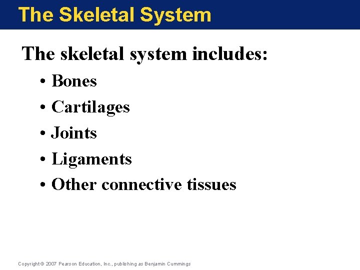 The Skeletal System The skeletal system includes: • Bones • Cartilages • Joints • The Skeletal System The skeletal system includes: • Bones • Cartilages • Joints •