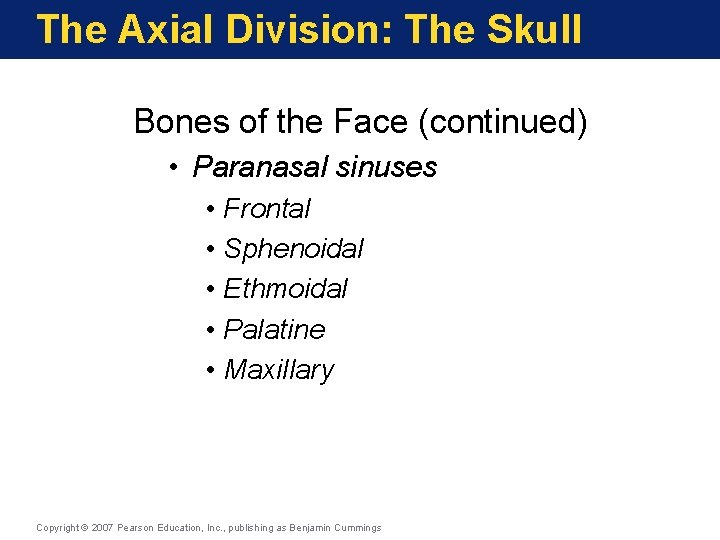 The Axial Division: The Skull Bones of the Face (continued) • Paranasal sinuses • The Axial Division: The Skull Bones of the Face (continued) • Paranasal sinuses •