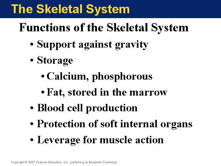 The Skeletal System Functions of the Skeletal System • Support against gravity • Storage The Skeletal System Functions of the Skeletal System • Support against gravity • Storage