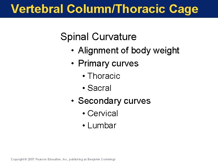 Vertebral Column/Thoracic Cage Spinal Curvature • Alignment of body weight • Primary curves • Vertebral Column/Thoracic Cage Spinal Curvature • Alignment of body weight • Primary curves •