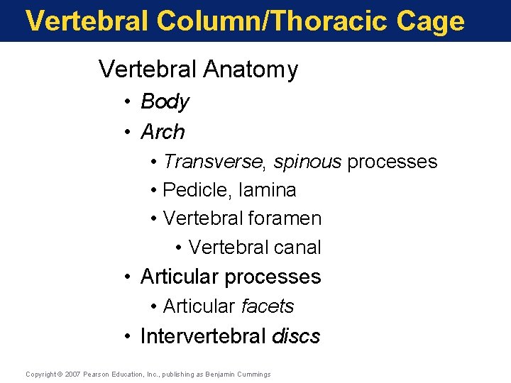Vertebral Column/Thoracic Cage Vertebral Anatomy • Body • Arch • Transverse, spinous processes • Vertebral Column/Thoracic Cage Vertebral Anatomy • Body • Arch • Transverse, spinous processes •