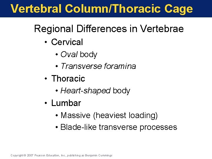 Vertebral Column/Thoracic Cage Regional Differences in Vertebrae • Cervical • Oval body • Transverse Vertebral Column/Thoracic Cage Regional Differences in Vertebrae • Cervical • Oval body • Transverse