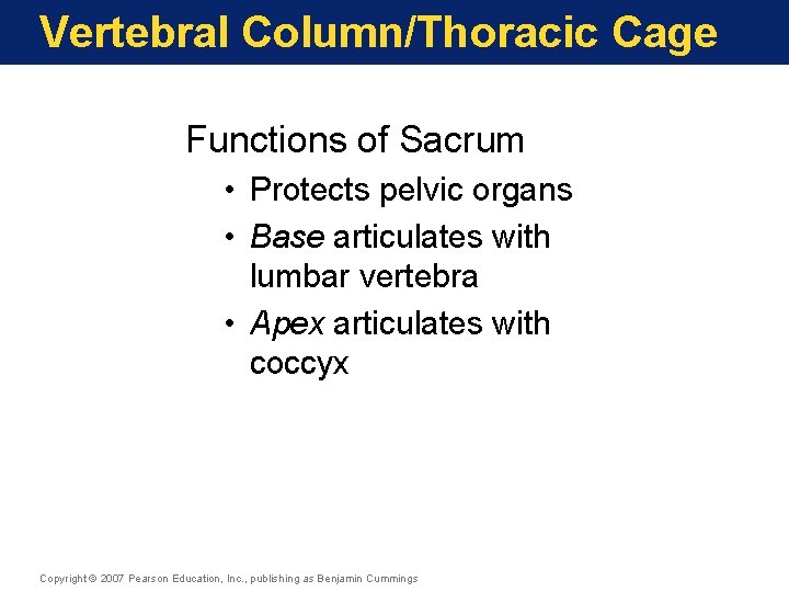 Vertebral Column/Thoracic Cage Functions of Sacrum • Protects pelvic organs • Base articulates with Vertebral Column/Thoracic Cage Functions of Sacrum • Protects pelvic organs • Base articulates with