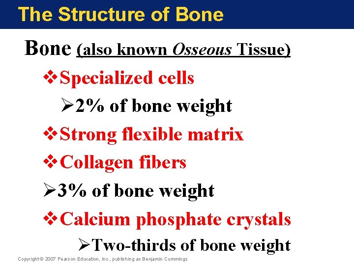 The Structure of Bone (also known Osseous Tissue) v. Specialized cells Ø 2% of The Structure of Bone (also known Osseous Tissue) v. Specialized cells Ø 2% of