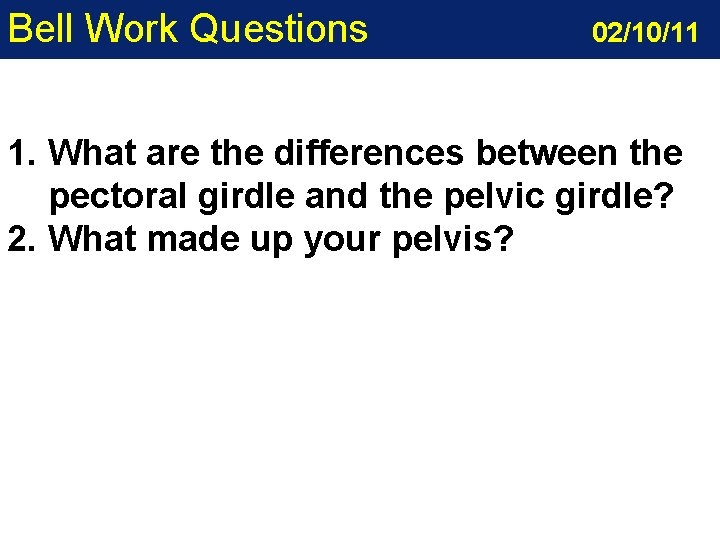 Bell Work Questions 02/10/11 1. What are the differences between the pectoral girdle and Bell Work Questions 02/10/11 1. What are the differences between the pectoral girdle and