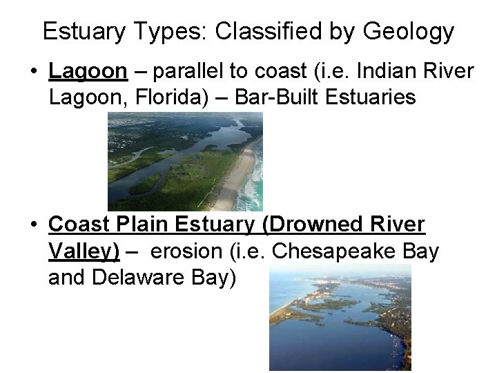 Estuary Types: Classified by Geology • Lagoon – parallel to coast (i. e. Indian