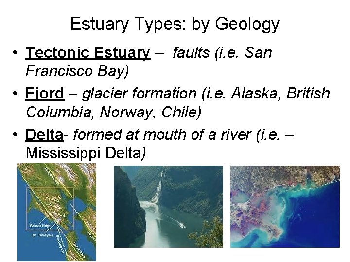 Estuary Types: by Geology • Tectonic Estuary – faults (i. e. San Francisco Bay)