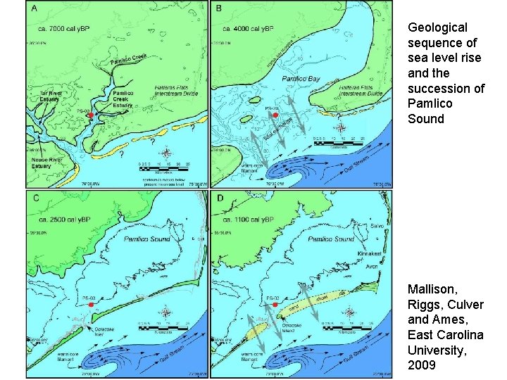 Geological sequence of sea level rise and the succession of Pamlico Sound Mallison, Riggs,