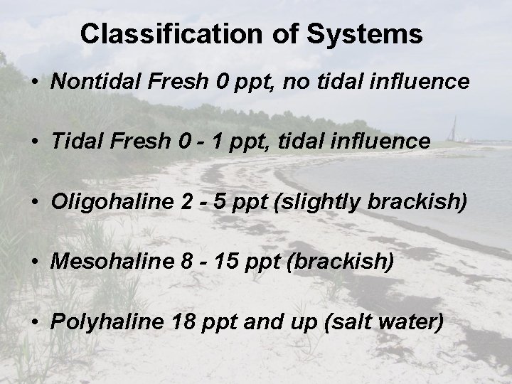 Classification of Systems • Nontidal Fresh 0 ppt, no tidal influence • Tidal Fresh