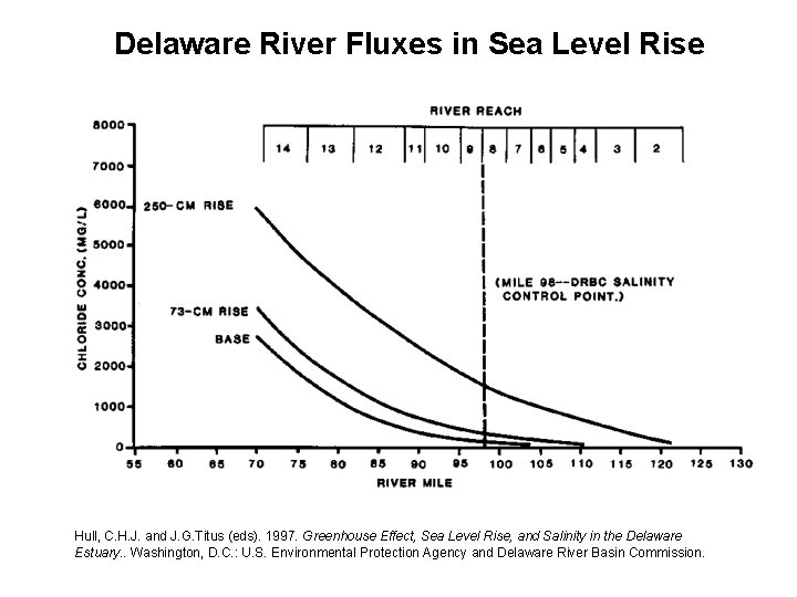 Delaware River Fluxes in Sea Level Rise Hull, C. H. J. and J. G.