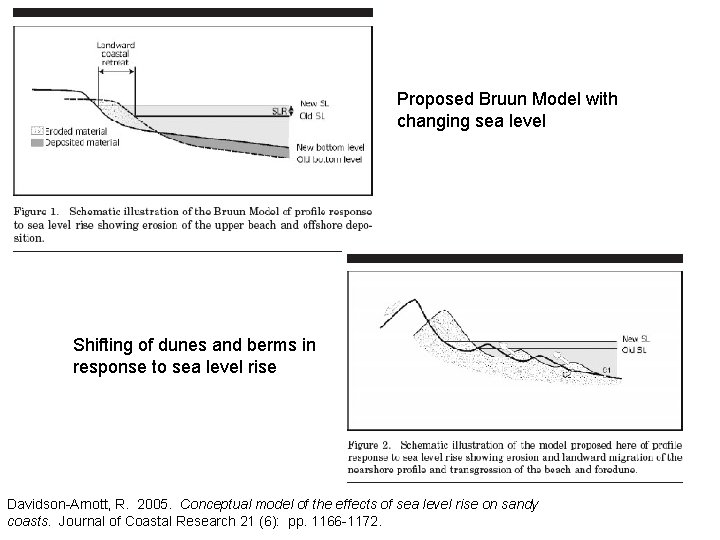 Proposed Bruun Model with changing sea level Shifting of dunes and berms in response