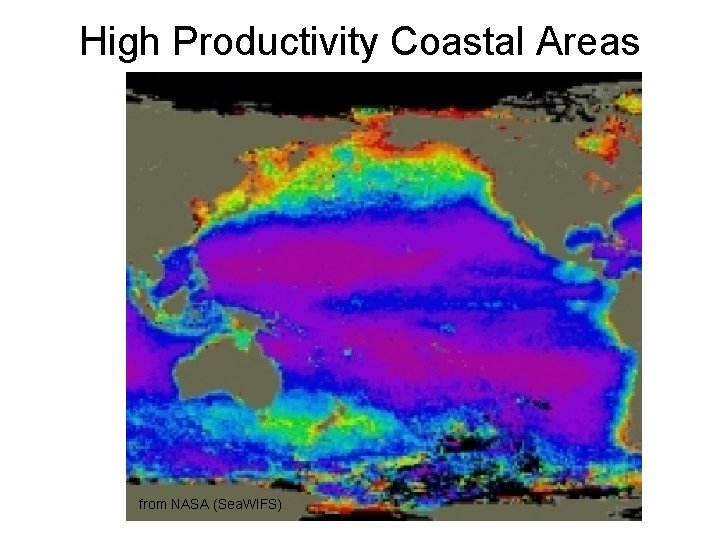 High Productivity Coastal Areas from NASA (Sea. WIFS) 