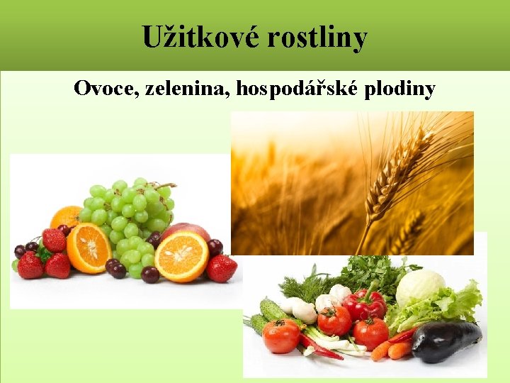 Užitkové rostliny Ovoce, zelenina, hospodářské plodiny 