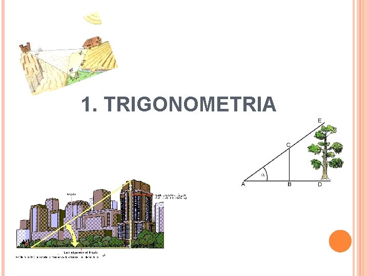 1. TRIGONOMETRIA 