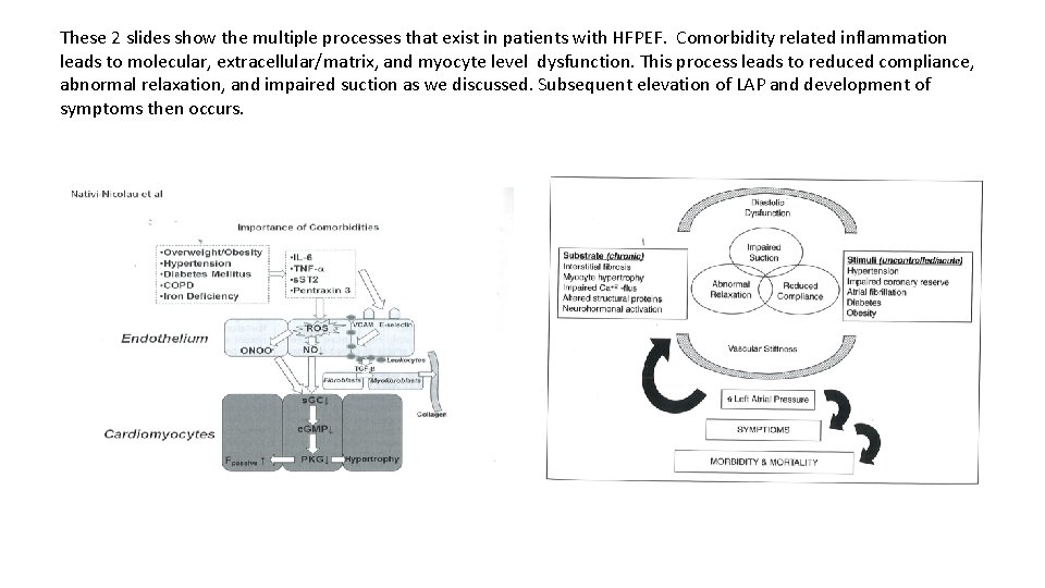 These 2 slides show the multiple processes that exist in patients with HFPEF. Comorbidity