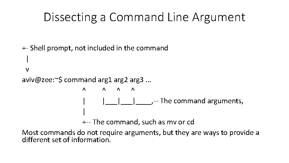 Dissecting a Command Line Argument +- Shell prompt, not included in the command | Dissecting a Command Line Argument +- Shell prompt, not included in the command |