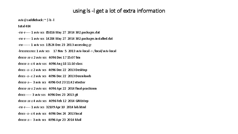 using ls -l get a lot of extra information aviv@saddleback: ~ $ ls -l using ls -l get a lot of extra information aviv@saddleback: ~ $ ls -l