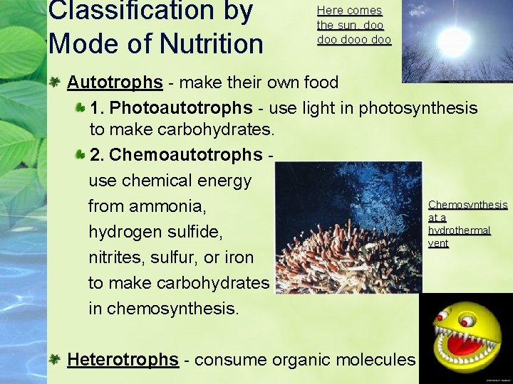 Classification by Mode of Nutrition Here comes the sun, doo dooo doo Autotrophs -