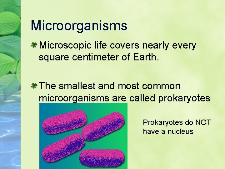 Microorganisms Microscopic life covers nearly every square centimeter of Earth. The smallest and most