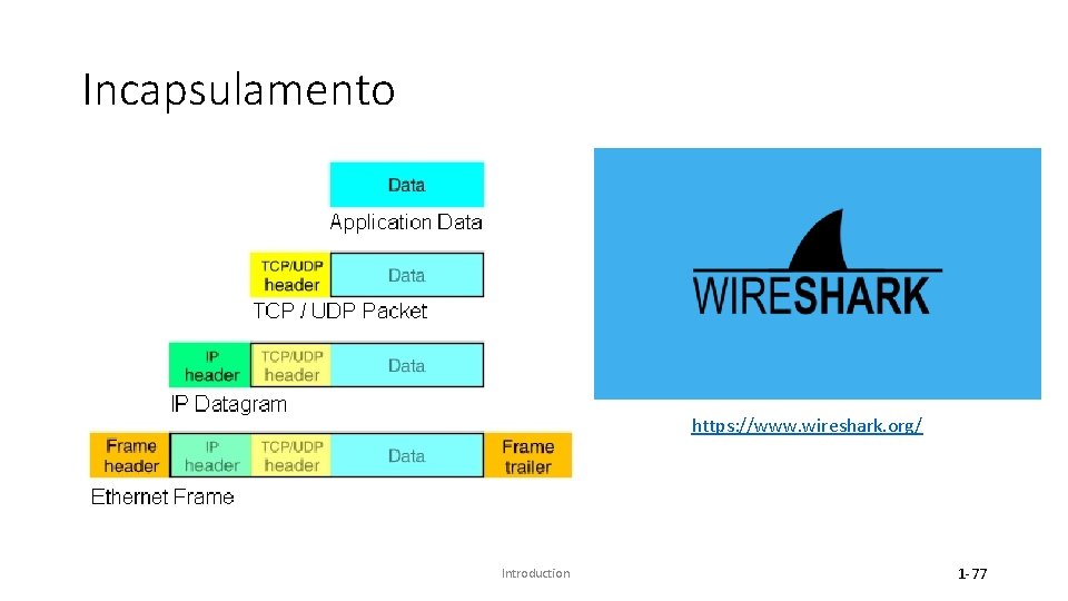 Incapsulamento https: //www. wireshark. org/ Introduction 1 -77 