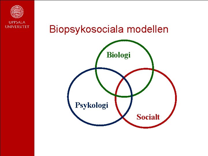 Biopsykosociala modellen Biologi Psykologi Socialt 