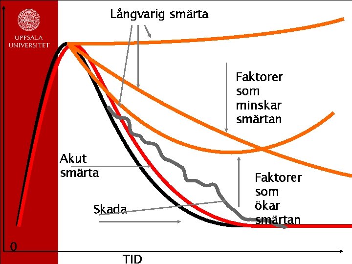 Långvarig smärta Faktorer som minskar smärtan Akut smärta Skada 0 TID Faktorer som ökar Långvarig smärta Faktorer som minskar smärtan Akut smärta Skada 0 TID Faktorer som ökar