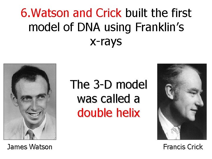 6. Watson and Crick built the first model of DNA using Franklin’s x-rays The