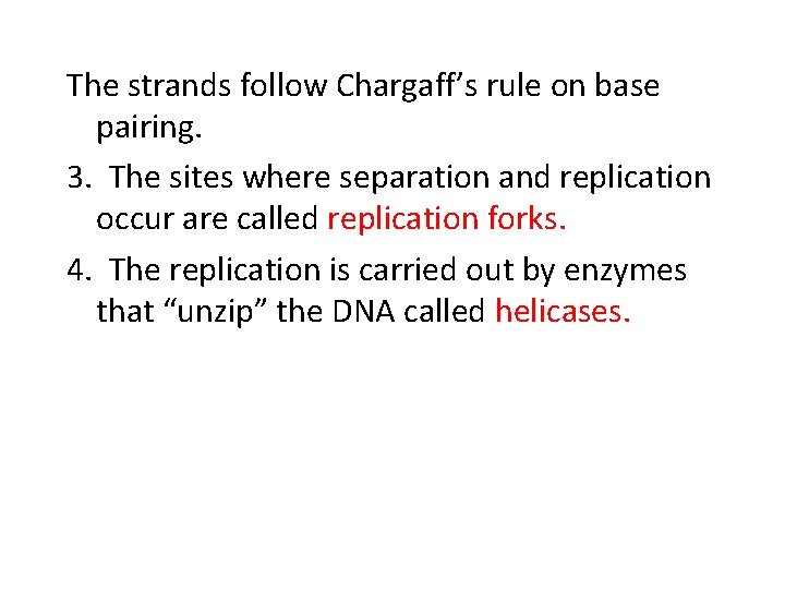 The strands follow Chargaff’s rule on base pairing. 3. The sites where separation and