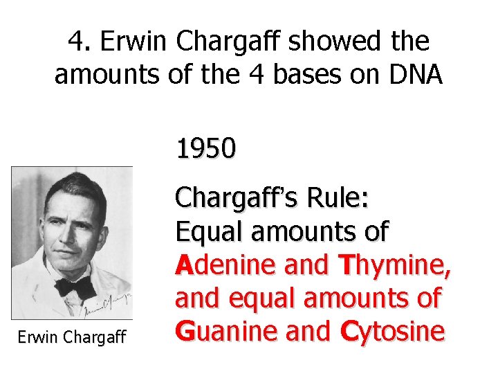 4. Erwin Chargaff showed the amounts of the 4 bases on DNA 1950 Erwin